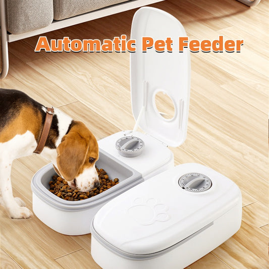 Minimal Automatic Pet Feeder | Single Bowl