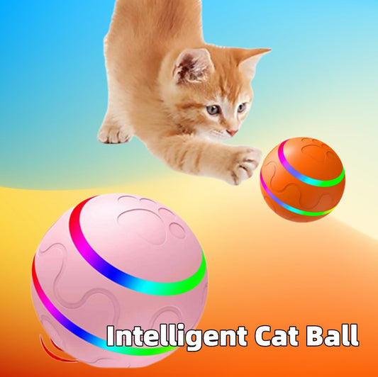 Intelligent cat toy - Pet New Cat Wicked Ball Toy Intelligent